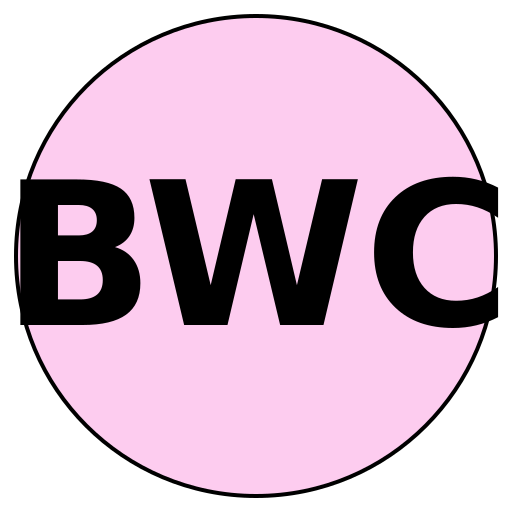 Blissful Weddings Co.